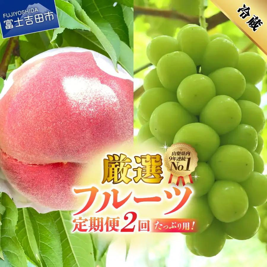 2回 厳選旬のフルーツ定期便（桃2kg・シャインマスカット1kg以上）【2026年発送】定期便