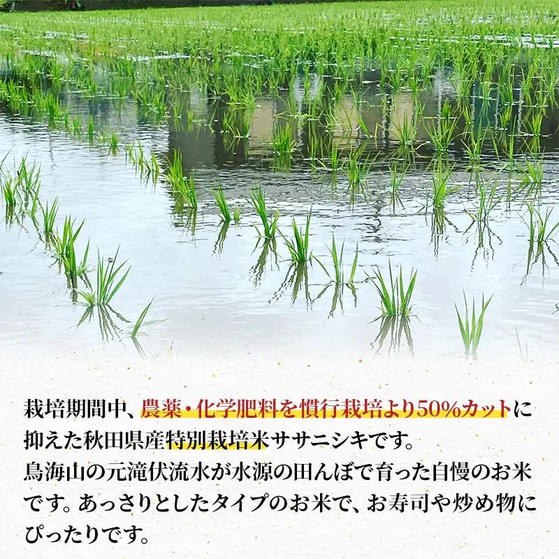 ササニシキ 特別栽培米 無洗米 秋田県産 ササニシキ【10kg(5kg×2袋)】【先行予約】