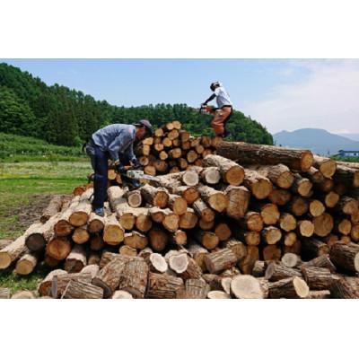 ふるさと納税 中野市 北信州産 乾燥ナラ薪100kg 大割(長さ約40cm)【複数個口で配送】 |  | 03