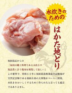 はかた地どり美人水炊き5種セット 2～3人前　