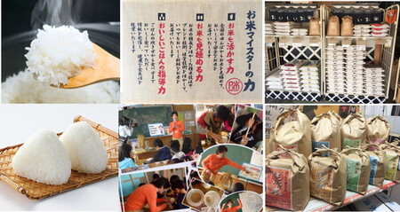 愛知県産 ミルキークイーン 5kg | 米
