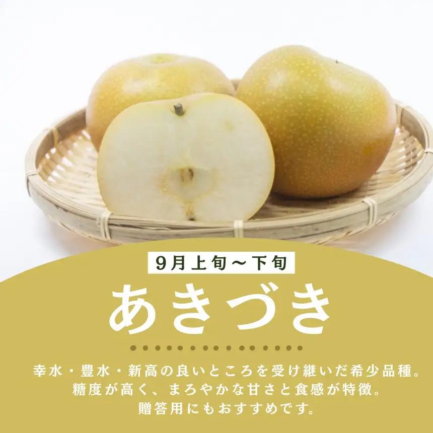  秀品 あきづき 約3kg 梨 栃木県共通返礼品(栃木県産)
