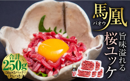 馬凰（ばおう）旨味溢れる 桜ユッケ 計250g（50g×5パック）タレ付き 馬肉