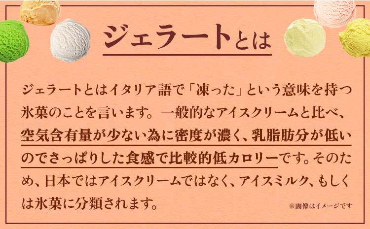 季節のジェラート 6種セット （ ミルク・ 桃 +ランダム4種）《30日以内に出荷予定(土日祝除く)》和歌山県 紀の川市 JAわかやま 紀の里地域本部 ジェラート アイス デザート カップアイス ぶど