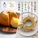 【ふるさと納税】 白山米粉のまるごとりんごバームクーヘンとツキトワピスタチオバームの二段重ね スイーツ お菓子 バレンタイン ホワイトデー 取寄 人気 ランキング おすすめ ギフト 小松市 こまつ 石川県 ふるさと 納税 022028【ツキトワby meigetsudo 株式会社明月堂】