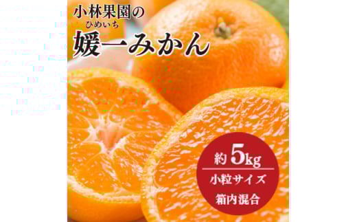 小林果園の媛一みかん＜小粒＞約5kg＜C24-34＞【1633616】