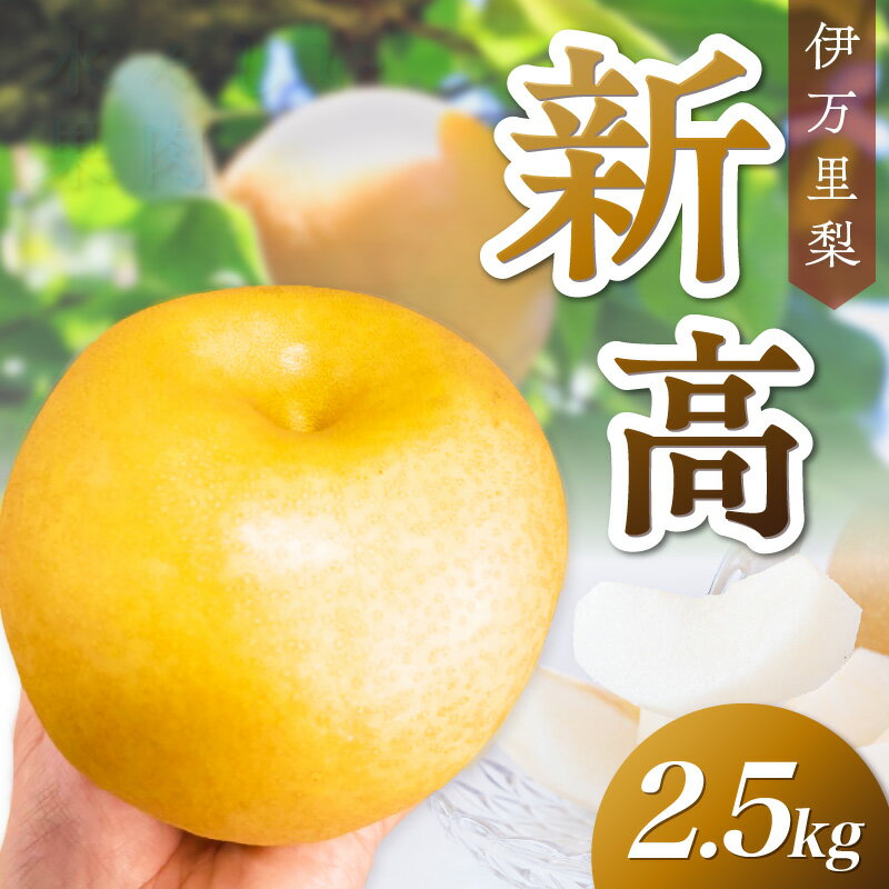 【ふるさと納税】【 数量限定 】 伊万里梨 新高 2.5kg 113-B1182
