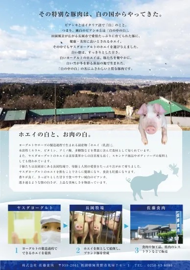 【6か月定期便】純白のビアンカコース 毎月違うお肉をお届け 計4kg超 豚バラ 豚ロース 骨付き ポークステーキ しゃぶしゃぶ 焼肉 1D22048