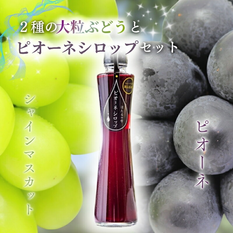 【ふるさと納税】大粒ぶどう2種(計約1.2kg)とピオーネシロップ詰め合わせ【2025年9月下旬～12月に順次発送予定（お届け日指定不可 ）】/ シャインマスカット ブドウ 葡萄 マスカット 人気 産地直送