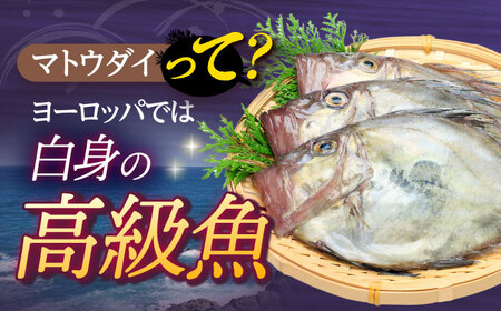 【全6回定期便】 マトウダイのフライ 約500g (約250g×2p) 【 ひばり 】[KAA492]