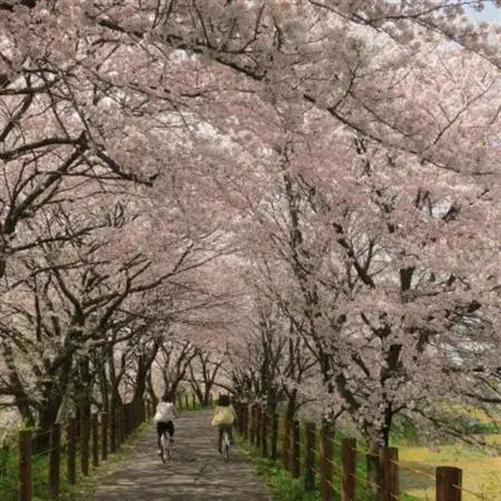 【返礼品なし】岐阜県輪之内町ふるさと応援寄附(一口:4,000円)