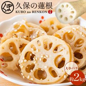 大小バラ 蓮根 約2kg れんこん
