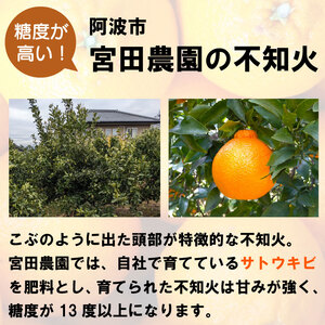 しらぬい 不知火 3kg 10~12個入り みかん 柑橘 糖度13以上 果物 フルーツ 柑橘 阿波市産