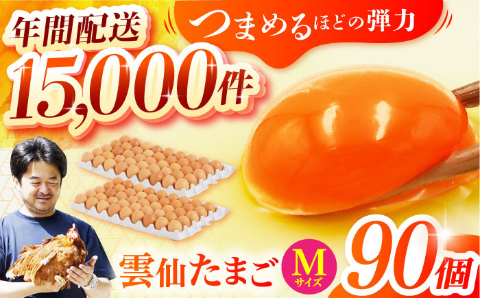 
雲仙たまご Mサイズ90個(85個＋割れ補償5個入り) 長崎県/塚ちゃん雲仙たまご村 [42ACAE004] 卵 玉子 タマゴ 鶏卵 長崎 島原 九州 大容量 たっぷり
