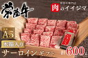 【ふるさと納税】 お中元 焼き肉 焼肉 ギフト プレゼント 内祝い お礼 出産祝い サーロイン 黒毛和牛 常陸牛A5焼き肉サーロインギフト（4人前 600g）＜木箱入り・特製タレ付き＞ 出産祝い 出産内祝い 箱入り 熨斗 ギフト対応 【肉のイイジマ】 茨城県 水戸市 （DU-51）