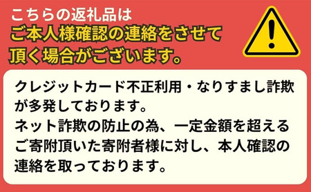 PHANTOM ROUND FCS 2 パイゼル サーフボード サーフィン PYZEL