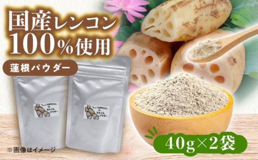国産 れんこんパウダー 2袋  レンコン 調味料 野菜 愛西市 / しょうがやさん 【配達不可：離島】 [AEAO011]
