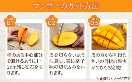 数量限定 完熟マンゴー 3L×1玉 フルーツ 果物 くだもの 国産_C166-26