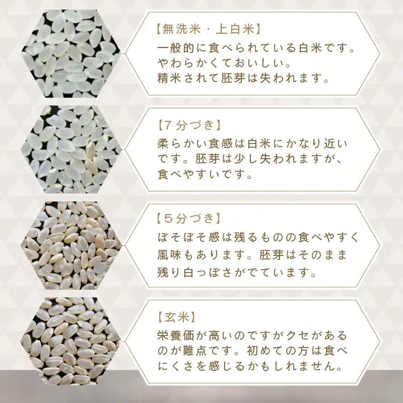 【先行予約】【令和8年産・新米】さんさん池見二代目が笑顔で育てたコシヒカリ 10kg ～福井県産 生産者直送！～（玄米）【2026年9月中旬以降順次発送予定】 [B-0224_04]