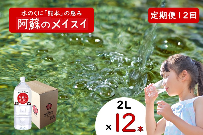 
            【ふるくま】定期便 12回 阿蘇のメイスイ 阿蘇山 天然水 2L × 12本 2ケース  熊本 阿蘇 水 みず 飲料 くまモンラベル 熊本県 ミネラルウォーター 非加熱殺菌 賞味期限2年 730日 備蓄 保存用
          