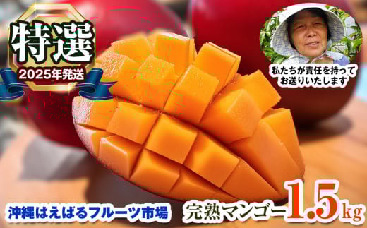 【2025年発送】特選　沖縄はえばるフルーツ市場　完熟マンゴー1.5kg