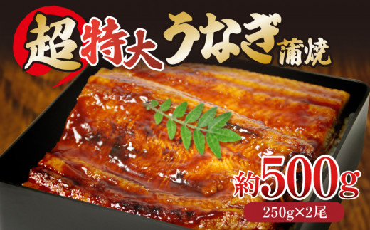 うなぎ 蒲焼き 特大 2尾 計500g タレ付き 冷凍 小分け 肉厚 ふっくら 香ばしい うなぎ蒲焼き 鰻蒲焼 養殖鰻 養殖うなぎ 温めるだけ 簡単調理 うな重 うな丼 土用 丑の日 ふわふわ パリパリ 【北海道・東北・沖縄・離島への配送不可】