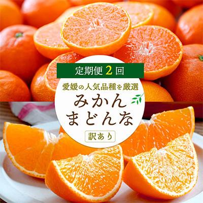 ふるさと納税 八幡浜市 【発送月固定定期便】みかんまどんな食べ比ベ【訳あり】(5kg&amp;2kg)【E25-197】全2回