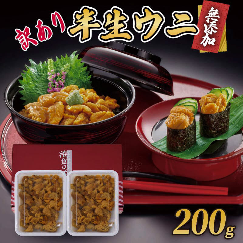 【ふるさと納税】 訳あり 岩手県産 半生うに 200g 100g×2 冷凍 うに キタムラサキウニ ミョウバン不使用 雲丹 海鮮丼 寿司 ウニ丼 刺身