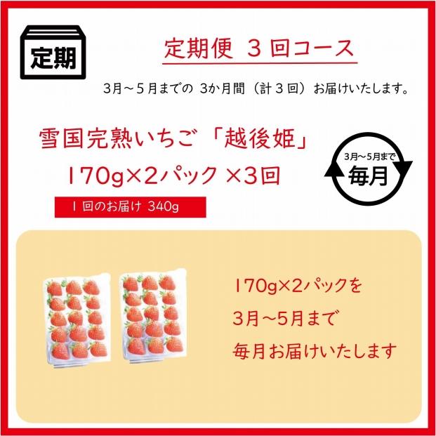 定期便 3回【3～5月発送】雪国完熟いちご越後姫 170g×2全3回 定期配送 越後姫 いちご 定期便 完熟 苺 新潟