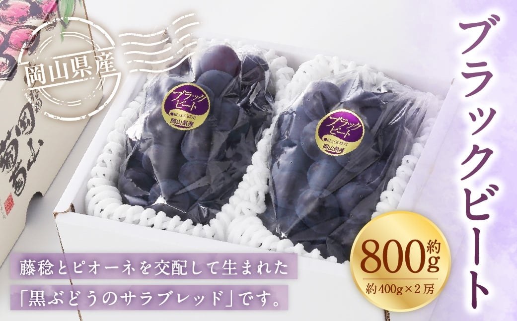 
                  岡山県産 ブラックビート 約800g （ 約400g×2房 ） ぶどう ブドウ 葡萄 くだもの 果物 果実 フルーツ 国産 黒ぶどう 【 2026年8月上旬～9月上旬発送予定 】
                