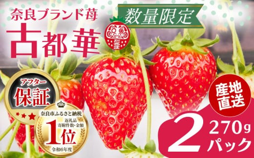 いちご ことか 270g×2パック 大粒 古都華 数量限定 2027年発送 冷蔵 イチゴ 苺 フルーツ 果物 小分け ブランドいちご 甘い おすすめ 贈答 プレゼント ギフト 奈良県 奈良市 いちご農家だるま