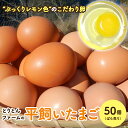 とりとんファームの平飼いたまご50個（ばら売り） / 田辺市 卵 たまご 鶏卵 平飼い 卵かけごはん