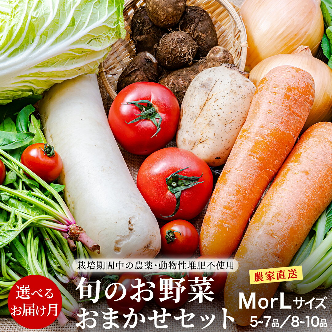【ふるさと納税】 ＼ 選べるお届け月と内容量／ 農家直送 旬のお野菜 おまかせセット 野菜セット 野菜 旬 詰め合わせ やさい おまかせ 自然 春野菜 夏野菜 セット 季節 新鮮 旬 農家直送