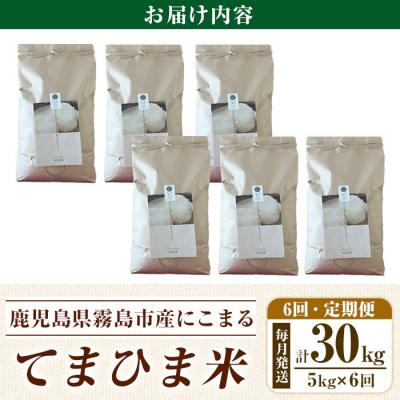 ふるさと納税 霧島市 6回定期便《令和7年産》てまひま米(品種:にこまる) (計30kg)【末蜜農園】K-198-F |  | 01