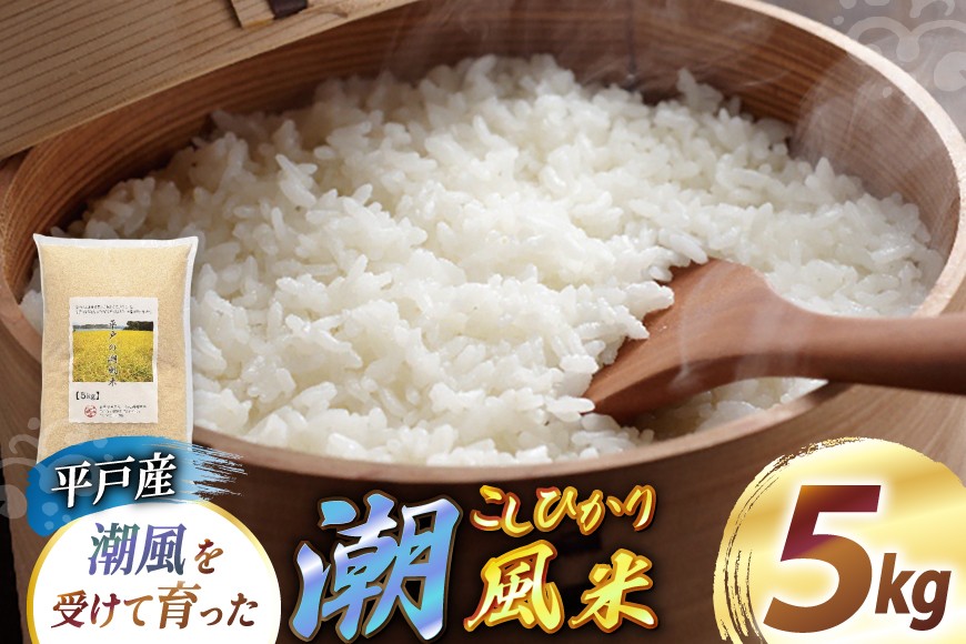 
                  米 令和8年 平戸産 潮風米 5kg [ひらど新鮮市場 長崎県 平戸市 hr42bgy400063] ふるさと納税 こめ お米 コシヒカリ 白米 精米 国産 令和8年産 5キロ 
                