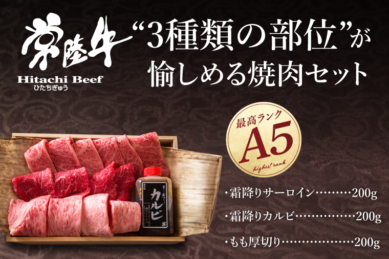 肉 常陸牛 A5 極上焼肉3品盛り合わせ 計600g 木箱入り 特製タレ付き 4万円 敬老の日 ギフト セット 食べ比べ サーロイン カルビ もも厚切り 焼肉 贈答 茨城県 水戸（DU-2）