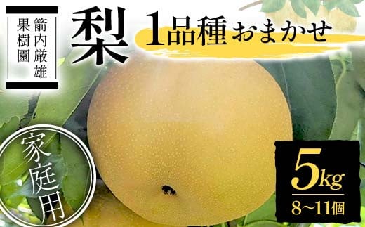 梨 家庭用 1品種おまかせ 5kg 8～11個 ＜箭内厳雄果樹園＞ なし ナシ 梨 デザート フルーツ 果物 くだもの F7X-0283