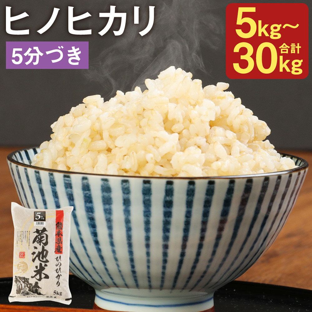 【ふるさと納税】熊本県菊池産 ヒノヒカリ 5分づき米 5kg/10kg/20kg/30kg 選べる内容量 1袋5kg お米 分づき米 令和6年産 九州産 熊本県産 送料無料【30日以内に出荷予定（土日祝除く）】