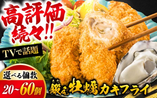 鍛え牡蠣のカキフライ 40個入り 江田島市／有限会社寺本水産 [XAE016]
