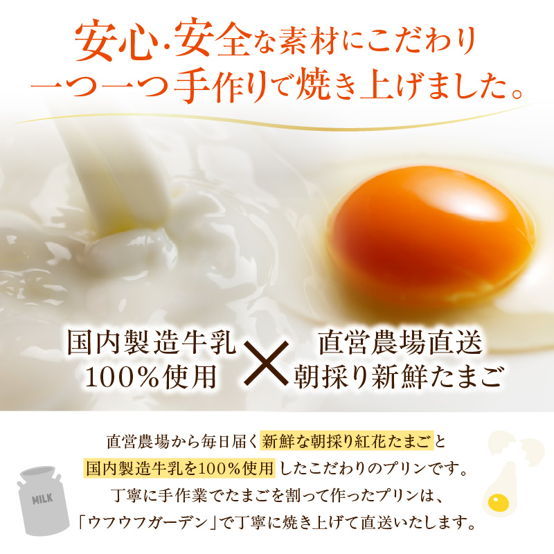 【数量限定】 ウフウフガーデン とろ生 プリン 90g × 6個 1日 10セット 限定 新鮮 紅花たまご マダガスカル産 バニラビーンズ 山形県産 牛乳 使用 とろとろ 濃厚 お菓子 スイーツ 山形