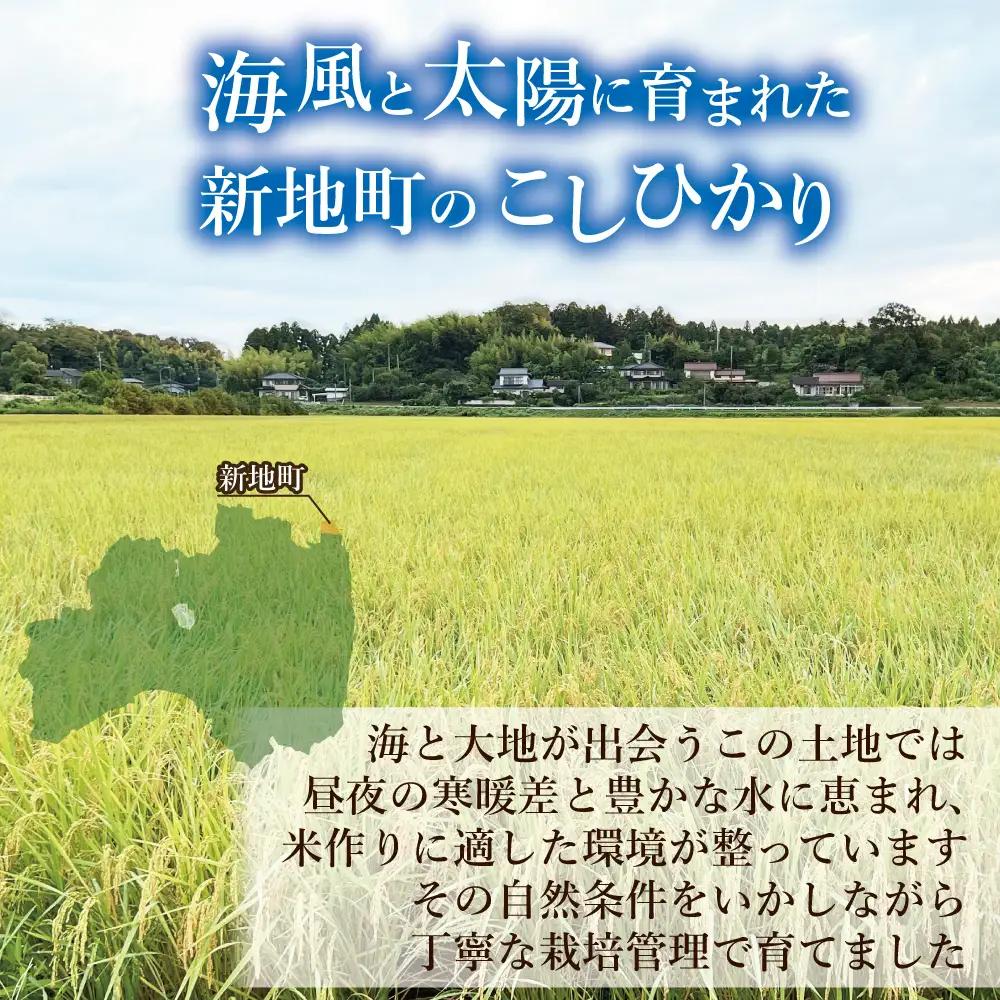新地産こしひかり玄米10kg（5kg×2袋）｜コシヒカリ お米 2025年産 おこめ ライス R7 ご飯 ごはん 数量限定 げんまい ブランド米 令和7年度産 お徳用 つやつや もちもち 新地町