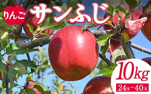 
＜先行予約＞りんご サンふじ10kg（24玉～40玉） リンゴ フルーツ 果物 福島県 鏡石町 F6Q-139
