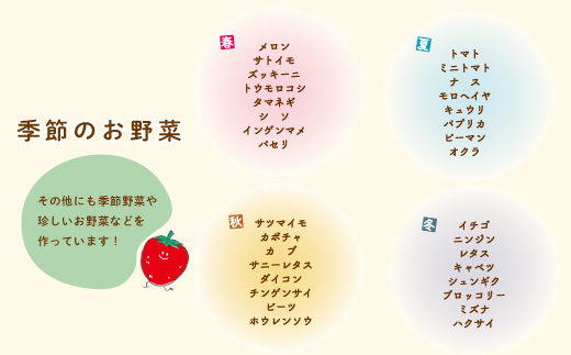 【 早期受付 4回 定期便 】 春・夏 野菜セット 約5種類 とれたて 新鮮 ぱっくん畑のおくりもの 農家直送 国産 野菜 やさい 高知県 高知 四万十市 四万十 しまんと 野菜便 限定 産地直送 【