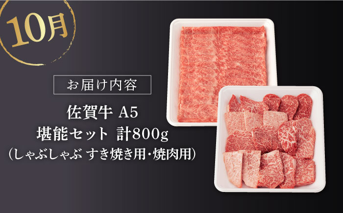 【3回定期便】佐賀牛 秋の定期便 極コース 【桑原畜産】[NAB107] 肉 精肉 牛肉 佐賀牛 佐賀県産 黒毛和牛