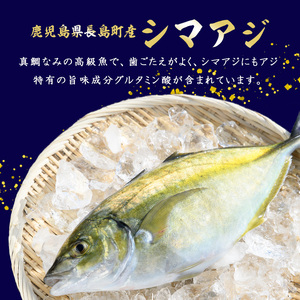 鹿児島県長島町産 シマアジ (約1.0kg・1匹) シマアジ 鹿児島 鮮魚 下処理済み 一匹 柵 刺身 切り身 高級あじ 高級魚【JFA】jfa-4121｜ シマアジ しまあじ あじ アジ 鯵 シマア