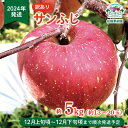 【ふるさと納税】【訳あり】 サンふじ 約5kg (約13～20玉) 《佐藤果樹園》■2024年発送■※12月上旬頃～12月下旬頃まで順次発送予定 果物類 林檎 りんご リンゴ 訳あり