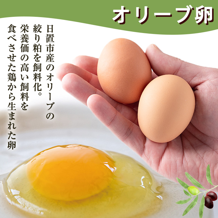 No.779 ＜全6回・定期便＞鹿児島県産美山オリーブ卵(40個×6回連続) 【美山たまご王国】