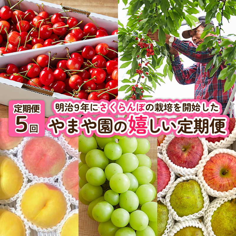 【定期便5回】明治9年にさくらんぼの栽培を開始したやまや園の嬉しい定期便 FY25-256