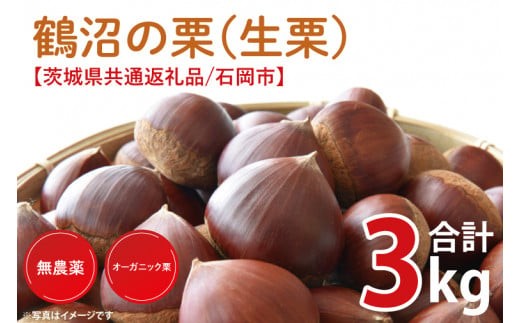 【2026年9月中旬より順次発送】石岡市鶴沼の栗（生栗）3kg（茨城県共通返礼品/石岡市）【くり 栗 農薬不使用 オーガニック オーガニッ栗 珍しい 希少 秋 茨城県産 果物 果樹 栗ご飯 水戸市】（KN-6）