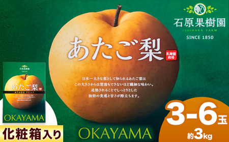【2026年先行予約】あたご梨 3～6玉（約3kg） 化粧箱 石原果樹園 赤秀 《11月中旬-12月下旬頃より発送予定》｜ 岡山県 浅口市 梨
